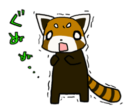 Daily of red pandas. sticker #2732759