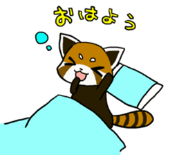 Daily of red pandas. sticker #2732760