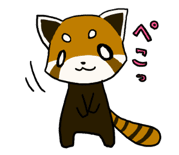 Daily of red pandas. sticker #2732762