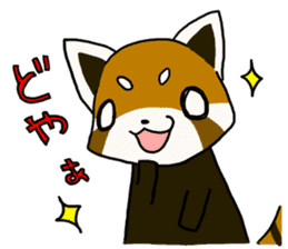 Daily of red pandas. sticker #2732763