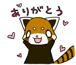 Daily of red pandas. sticker #2732766