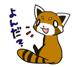 Daily of red pandas. sticker #2732769
