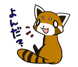 Daily of red pandas. sticker #2732769