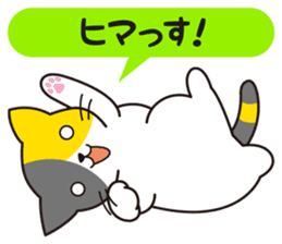 Cat to a friendly conversation sticker #2735654