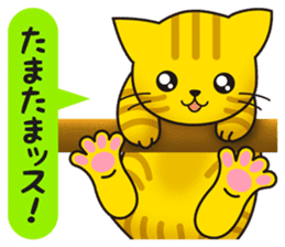 Cat to a friendly conversation sticker #2735656