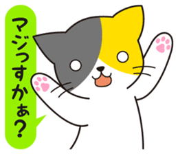 Cat to a friendly conversation sticker #2735658