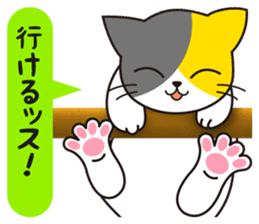 Cat to a friendly conversation sticker #2735660