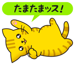 Cat to a friendly conversation sticker #2735670