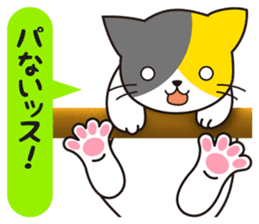Cat to a friendly conversation sticker #2735673