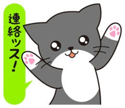 Cat to a friendly conversation sticker #2735674