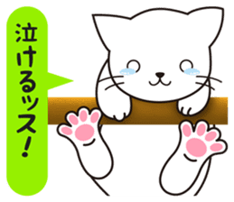 Cat to a friendly conversation sticker #2735675