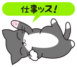 Cat to a friendly conversation sticker #2735677