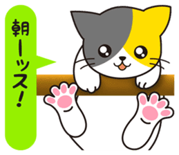 Cat to a friendly conversation sticker #2735680