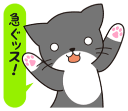 Cat to a friendly conversation sticker #2735681