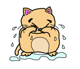 Idol cat sticker #2736977