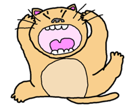 Idol cat sticker #2736978