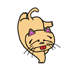 Idol cat sticker #2736981