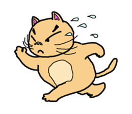 Idol cat sticker #2736990