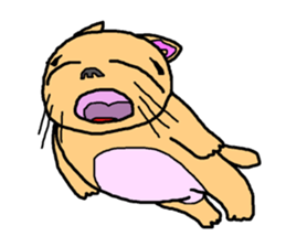 Idol cat sticker #2737000