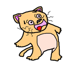 Idol cat sticker #2737005