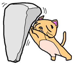 Idol cat sticker #2737007