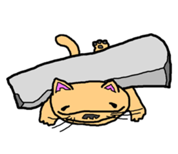 Idol cat sticker #2737008