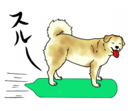 Every day of dogs 2 sticker #2738492