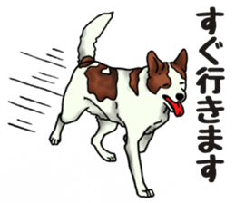 Every day of dogs 2 sticker #2738499