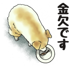 Every day of dogs 2 sticker #2738504