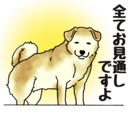 Every day of dogs 2 sticker #2738508
