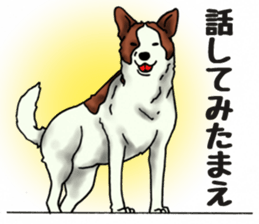 Every day of dogs 2 sticker #2738509