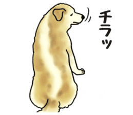 Every day of dogs 2 sticker #2738529