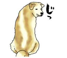 Every day of dogs 2 sticker #2738530