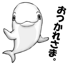 Eyelashes white dolphin sticker #2739973
