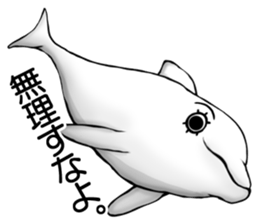 Eyelashes white dolphin sticker #2739990