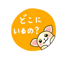 Everyday Chihua-Poo japanese edition sticker #2740973
