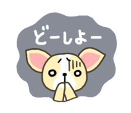 Everyday Chihua-Poo japanese edition sticker #2740977