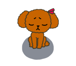 Everyday Chihua-Poo japanese edition sticker #2740984