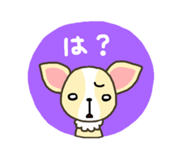 Everyday Chihua-Poo japanese edition sticker #2740985