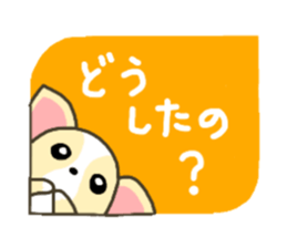 Everyday Chihua-Poo japanese edition sticker #2740987