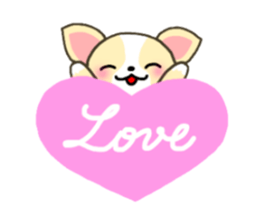 Everyday Chihua-Poo japanese edition sticker #2740991