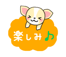 Everyday Chihua-Poo japanese edition sticker #2740993
