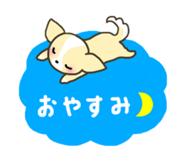 Everyday Chihua-Poo japanese edition sticker #2740996