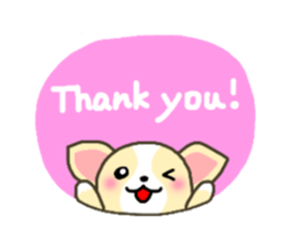 Everyday Chihua-Poo japanese edition sticker #2741002