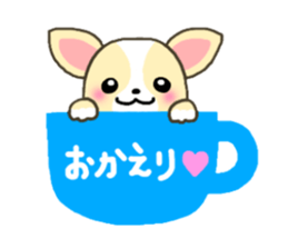 Everyday Chihua-Poo japanese edition sticker #2741006