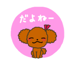 Everyday Chihua-Poo japanese edition sticker #2741009