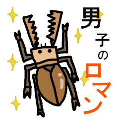 The Beetles' Communication