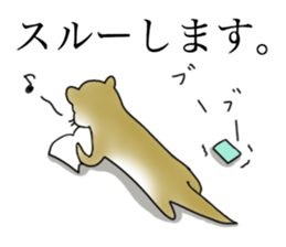 Not accepted Mr. otter sticker #2741897