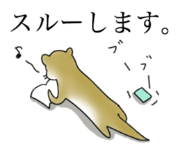 Not accepted Mr. otter sticker #2741897