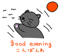 a bilingual cat Sun-chan. sticker #2743973